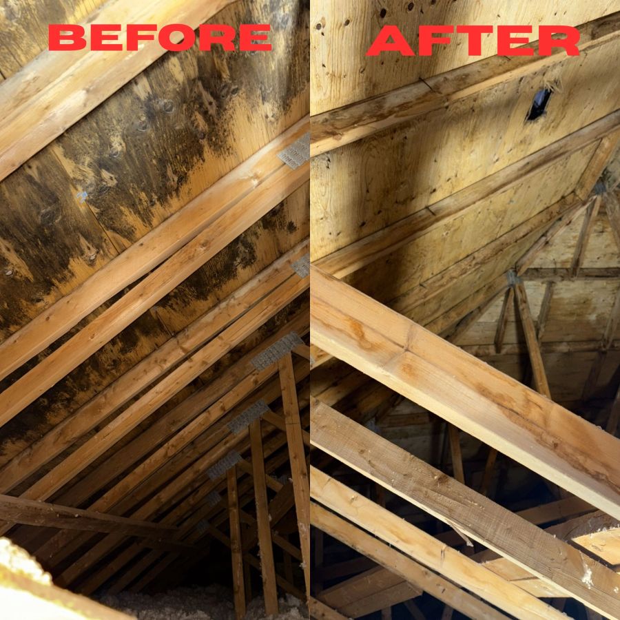 Attic roof-deck restoration